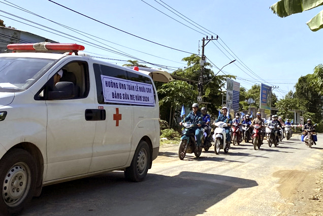 trang cá độ bóng đá